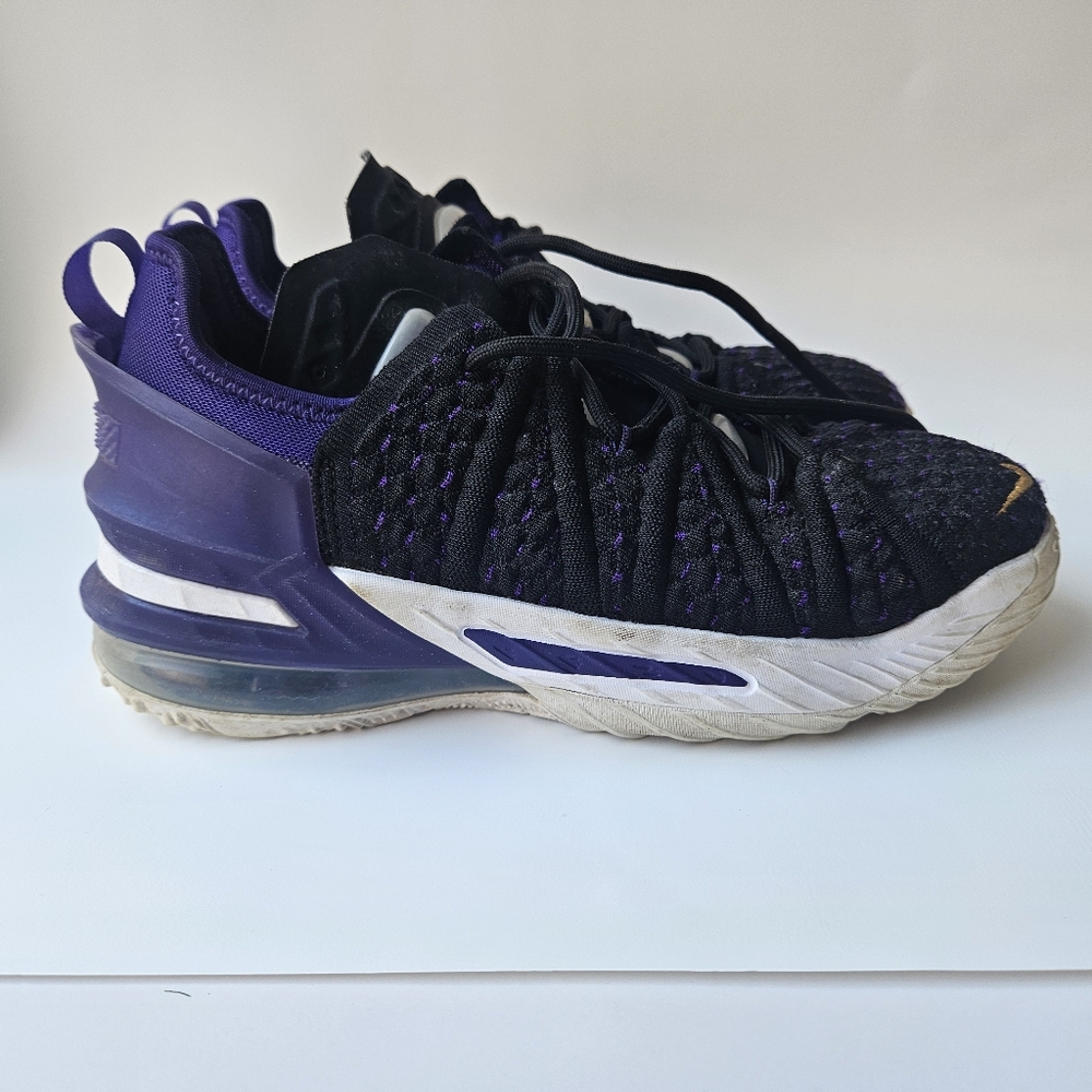 Nike Le Bron Sneakers